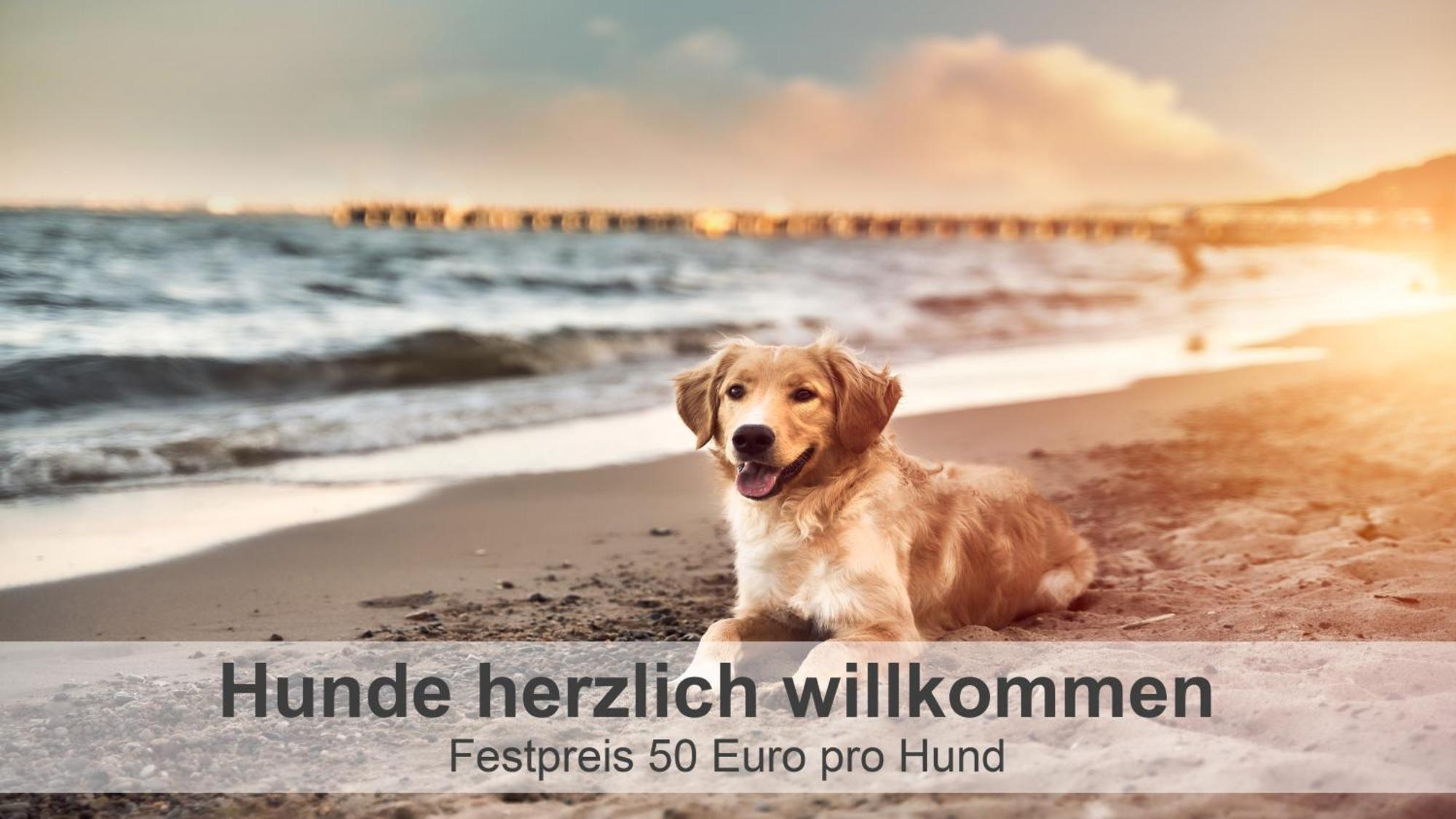 شقة Gulfhof-Ferien Briese Großheide المظهر الخارجي الصورة